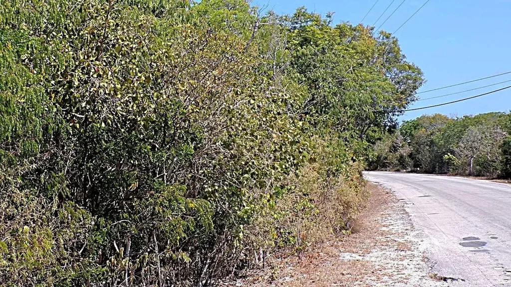 Salt Pond Waterfront Long Island BS