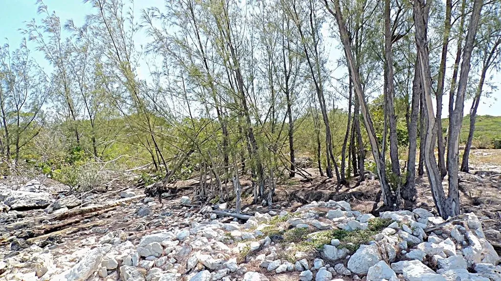 Salt Pond Waterfront Long Island BS