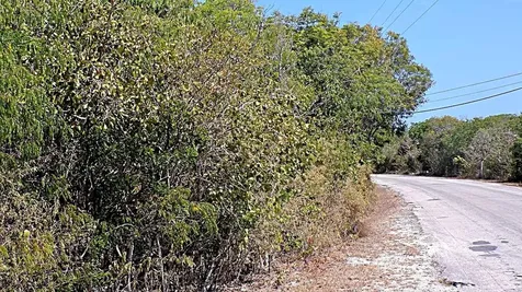 Salt Pond Waterfront Long Island BS