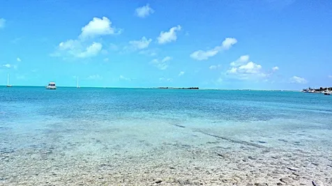 Salt Pond Waterfront Long Island BS