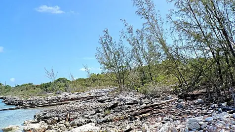 Salt Pond Waterfront Long Island BS