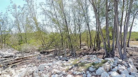 Salt Pond Waterfront Long Island BS