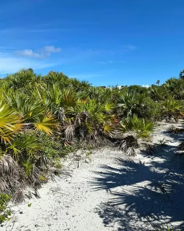 Lot #26, Norman's Cay Exuma BS