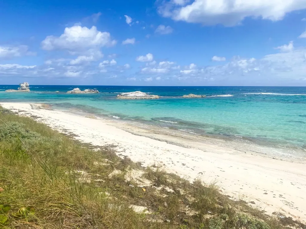 Queens Highway Long Island BS