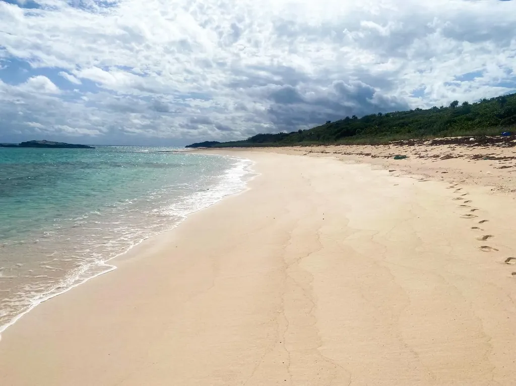 Queens Highway Long Island BS