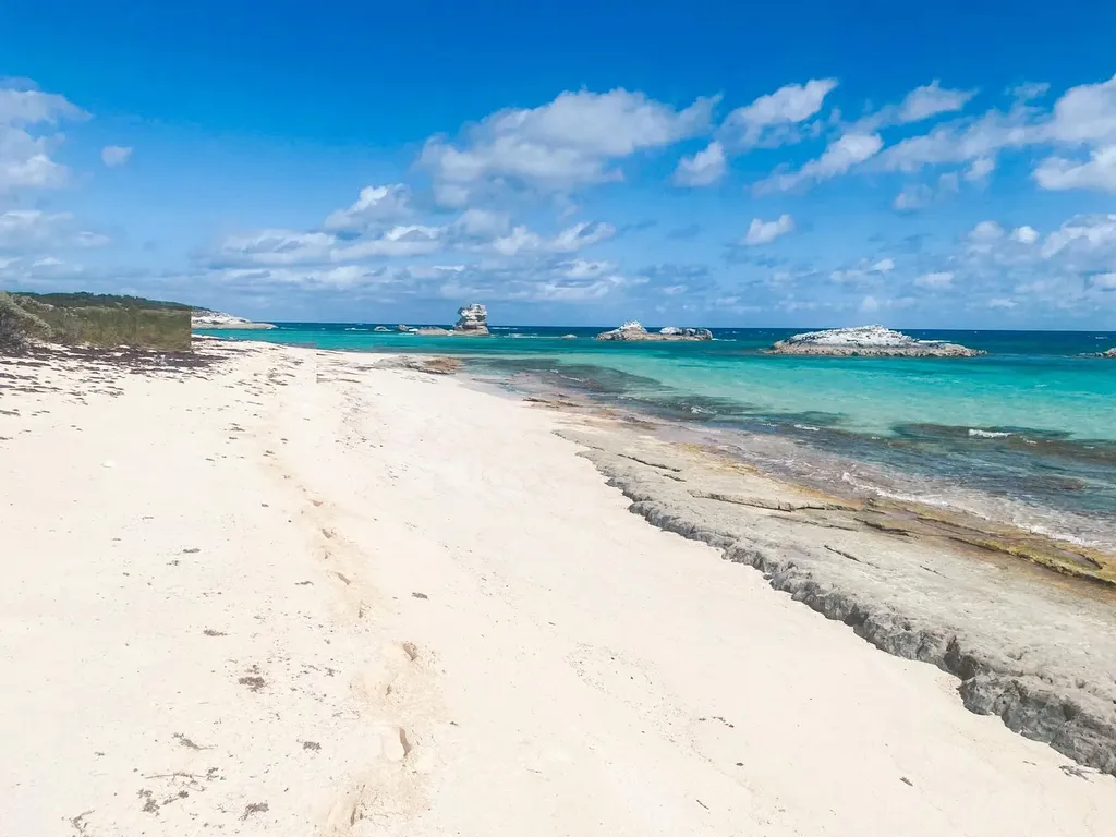 Queens Highway Long Island BS