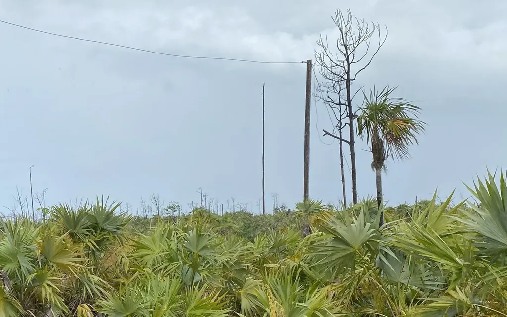 Lot 17 Lucaya Estates Grand Bahama Freeport BS