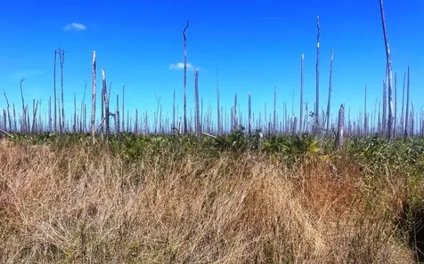 Lot 17 Lucaya Estates Grand Bahama Freeport BS