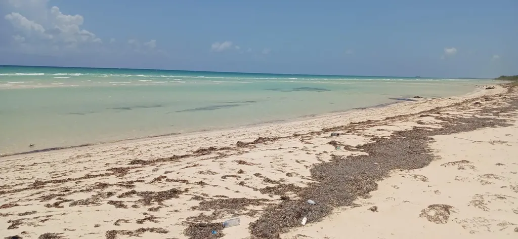 Grand Bahama Highway Grand Bahama Freeport BS