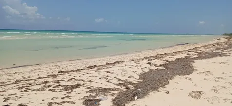 Grand Bahama Highway Grand Bahama Freeport BS