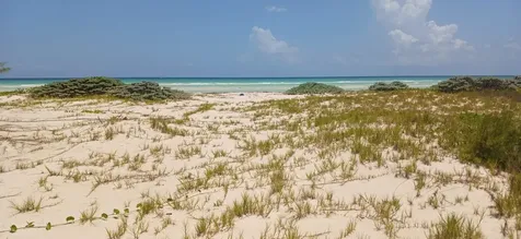 Grand Bahama Highway Grand Bahama Freeport BS