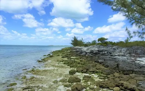 Joe's Cay Abaco BS