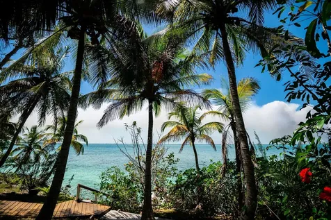 Hummingbird Treehouse Abaco BS