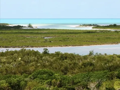 Lots 778 & 779 Lakefront Exuma BS