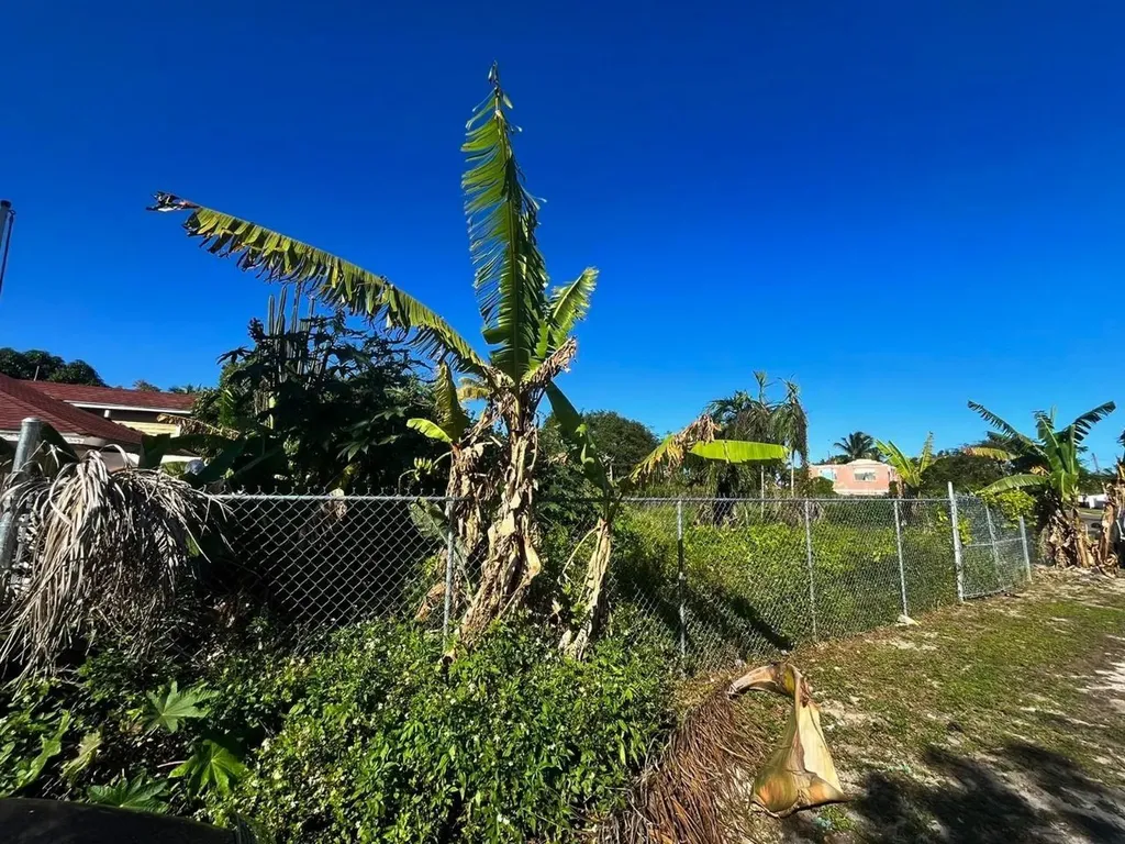 Lot #20 Charlotte Ridge New Providence Paradise Island BS