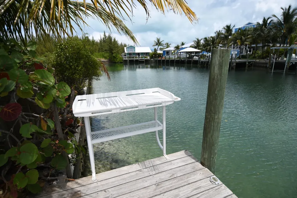 Green Gecko, Tcb Abaco BS