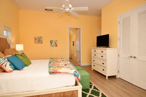 Green Gecko, Tcb Abaco BS