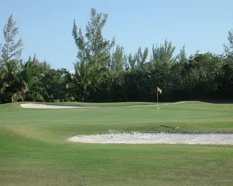 Green Gecko, Tcb Abaco BS