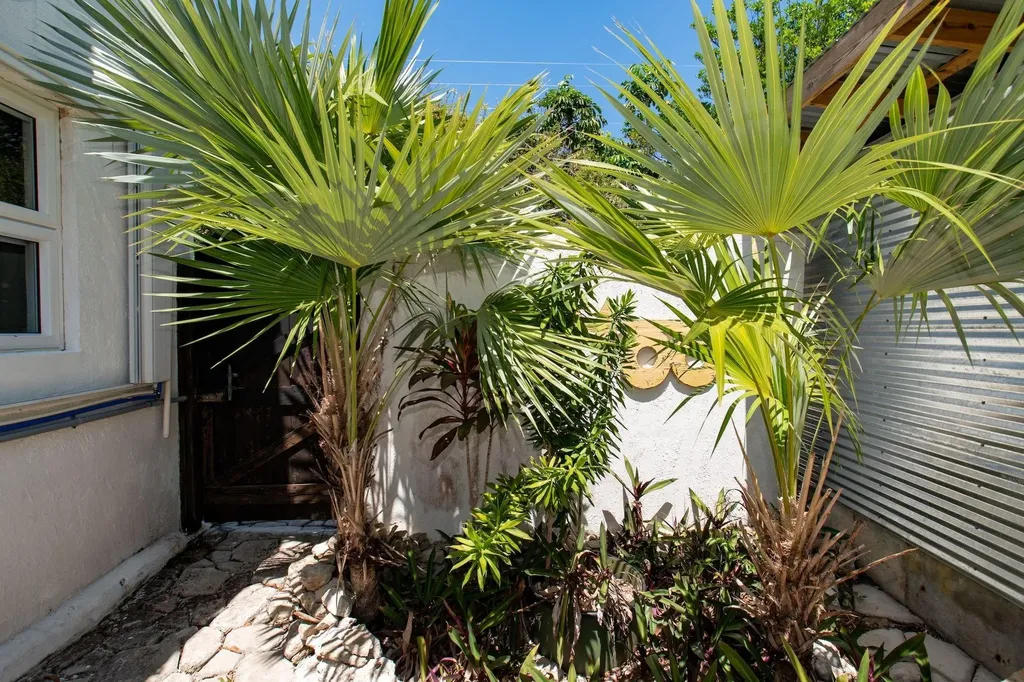 Tattoo's Garden Casita Eleuthera BS