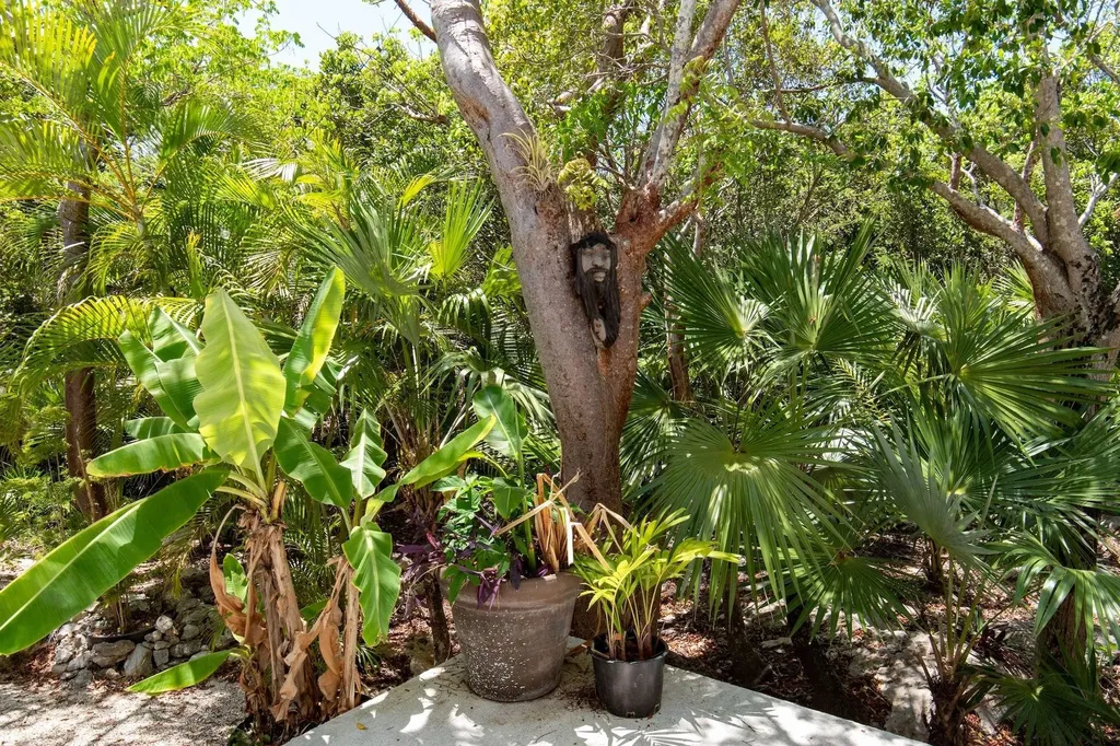 Tattoo's Garden Casita Eleuthera BS