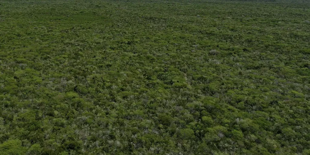 Long Island Long Island BS