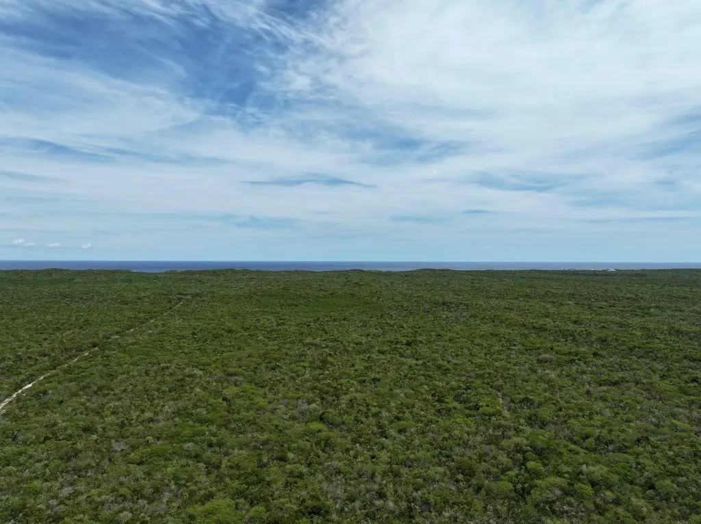 Long Island Long Island BS