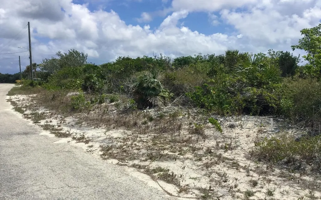 Beachfront Lot Sugar Loaf San Salvador BS