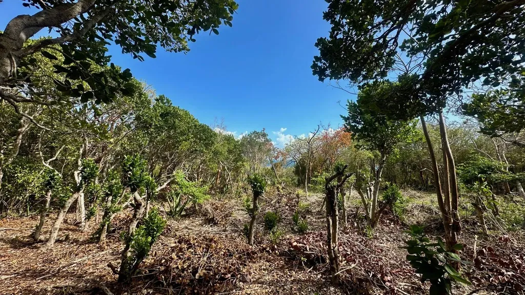 8 Wandering Shore Eleuthera BS