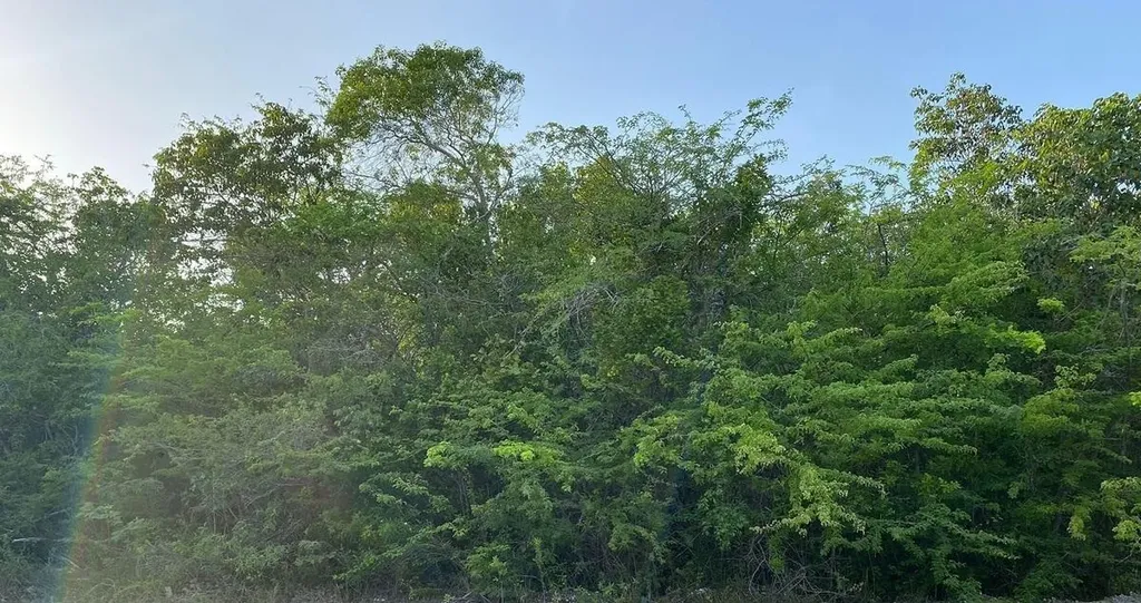 29.5 Acres Sunridge Estat Exuma BS