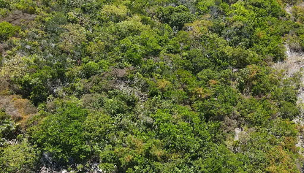 29.5 Acres Sunridge Estat Exuma BS