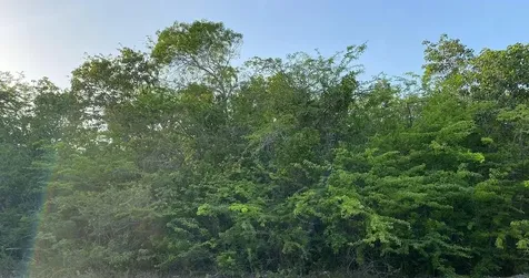 29.5 Acres Sunridge Estat Exuma BS