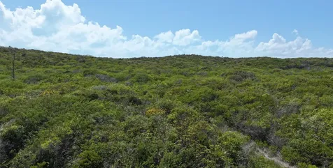 29.5 Acres Sunridge Estat Exuma BS
