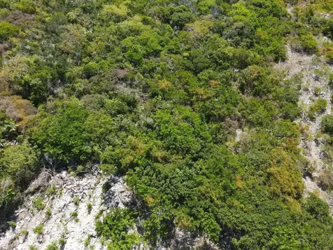 29.5 Acres Sunridge Estat Exuma BS