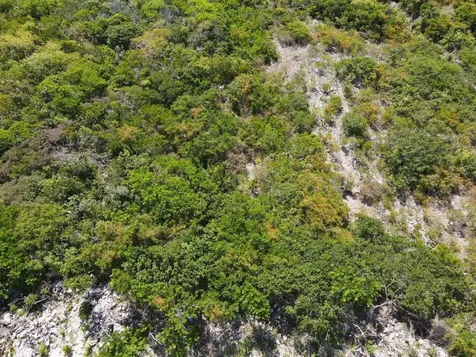 29.5 Acres Sunridge Estat Exuma BS