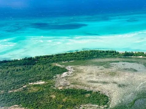 Sweeting's Cay Beach Fron Grand Bahama Freeport BS