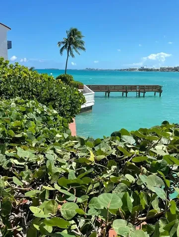 West Bay Street 19 New Providence Paradise Island BS