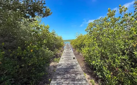 Whatavue Windermere Isl. Eleuthera BS