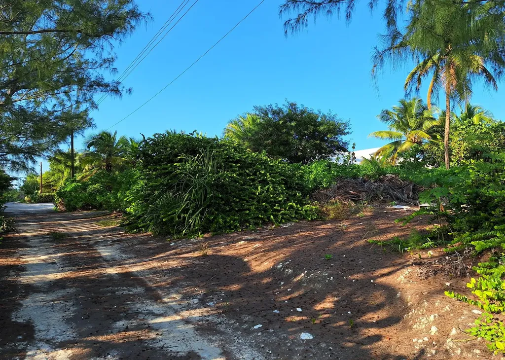 Auxillary Road Queens Hig 19502 Exuma BS