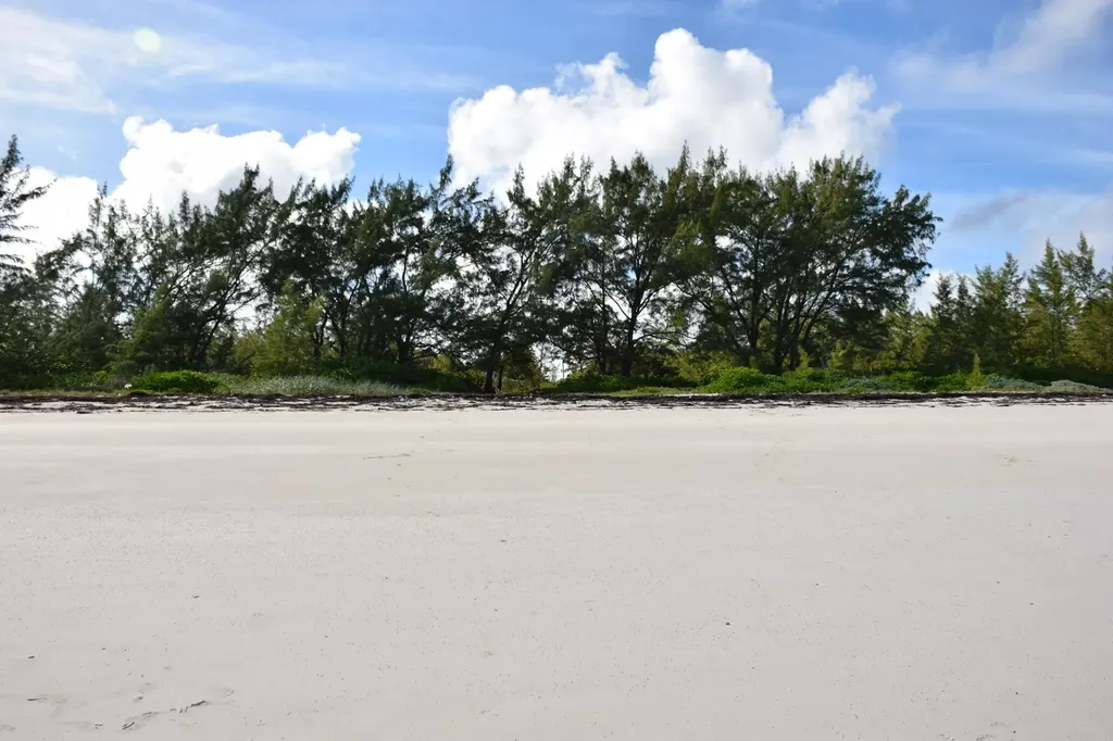 Andros Beachfront Acreage Andros BS