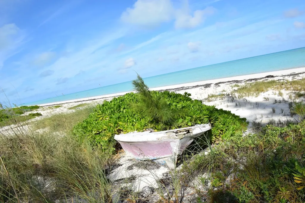 Andros Beachfront Acreage Andros BS