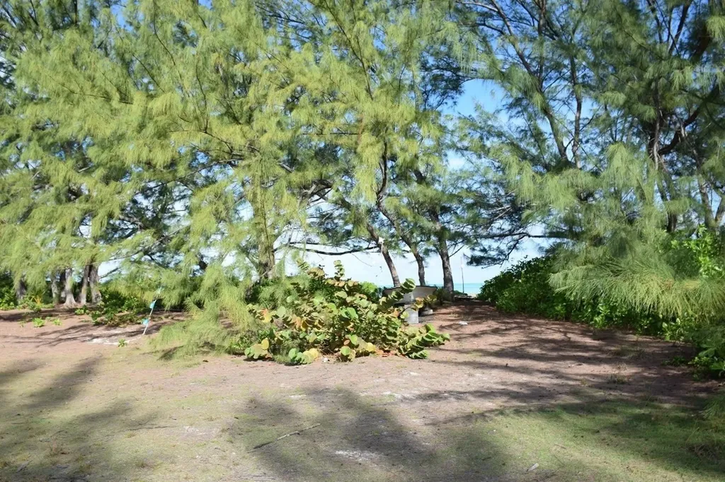 Andros Beachfront Acreage Andros BS