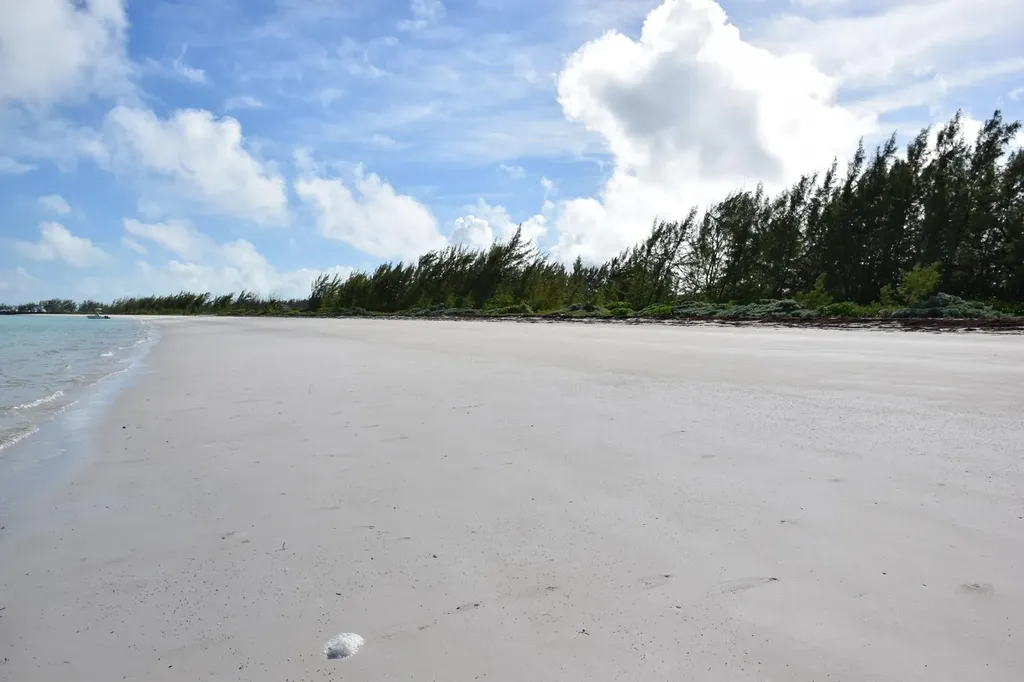 Andros Beachfront Acreage Andros BS