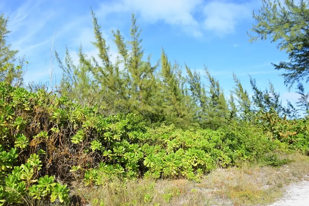 Andros Beachfront Acreage Andros BS