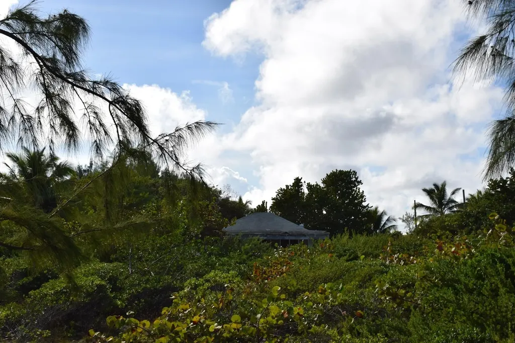 Andros Beachfront Acreage Andros BS