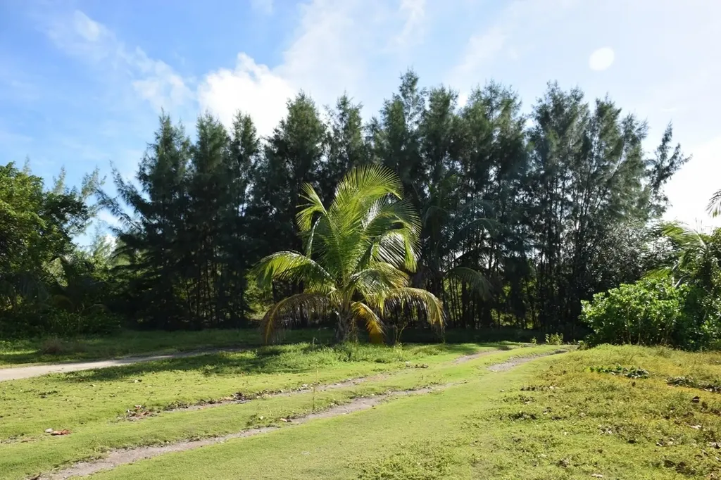 Andros Beachfront Acreage Andros BS