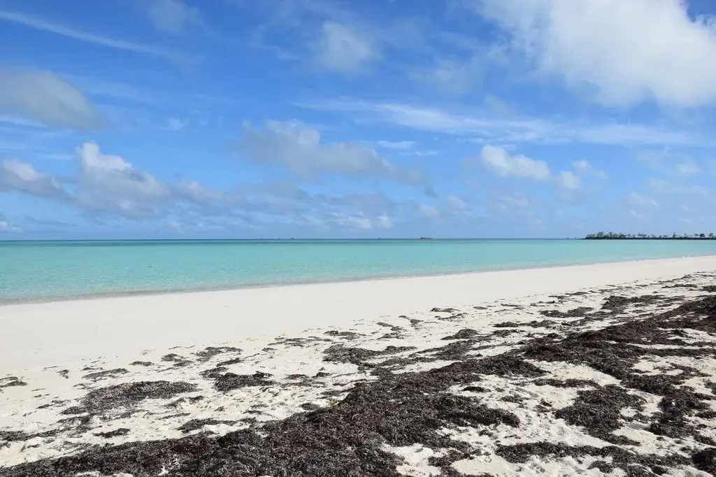 Andros Beachfront Acreage Andros BS