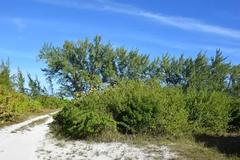 Andros Beachfront Acreage Andros BS