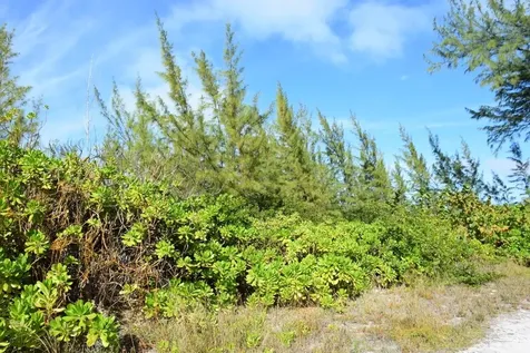 Andros Beachfront Acreage Andros BS