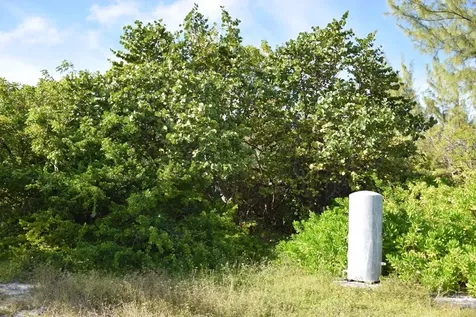 Andros Beachfront Acreage Andros BS