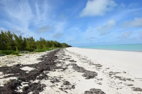 Andros Beachfront Acreage Andros BS